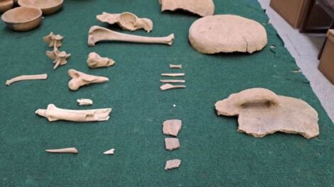 Descubrimiento arqueológico en Comarapa con piezas de 2.000 años de antigüedad