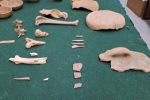 Descubrimiento arqueológico en Comarapa con piezas de 2.000 años de antigüedad