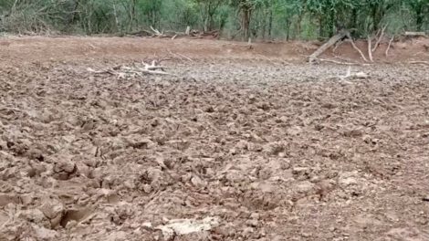 Sequías y heladas en Bolivia afectan a miles de familias