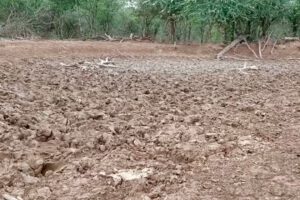 Sequías y heladas en Bolivia afectan a miles de familias