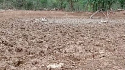 Sequías y heladas en Bolivia afectan a miles de familias