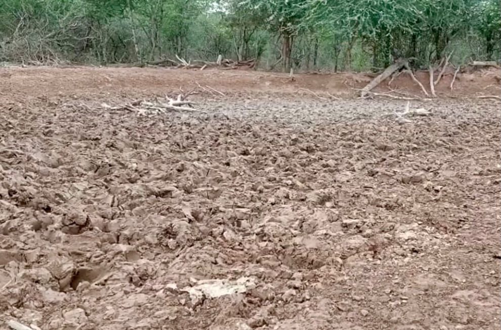 Sequías y heladas en Bolivia afectan a miles de familias