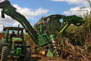 Escasez de diésel en Santa Cruz afecta a productores de caña