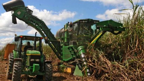 Escasez de diésel en Santa Cruz afecta a productores de caña