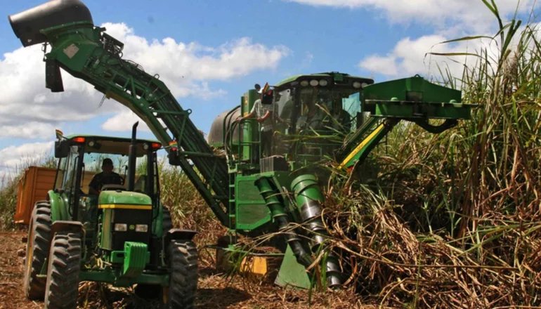 Escasez de diésel en Santa Cruz afecta a productores de caña