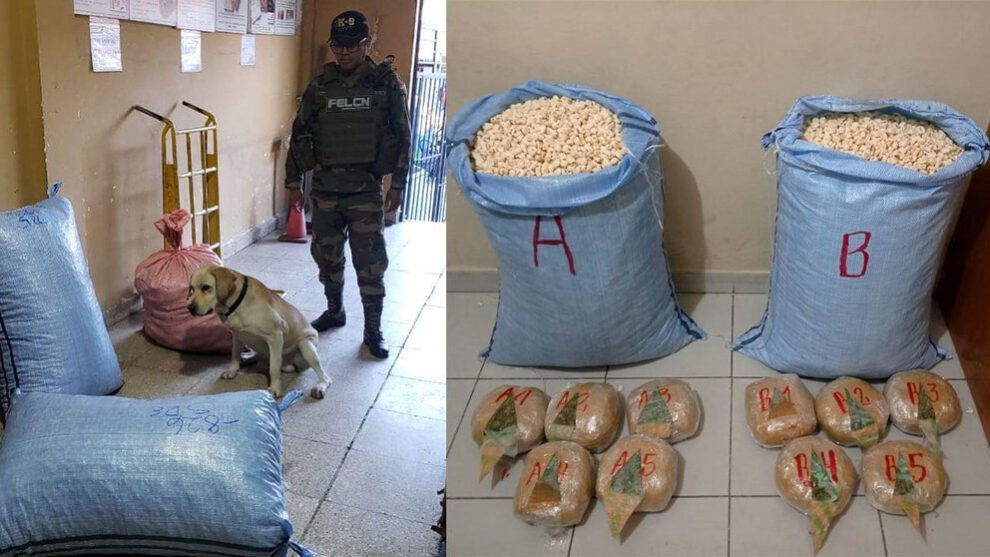 Vico descubre marihuana en Terminal de Buses de Quillacollo