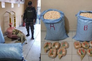 Vico descubre marihuana en Terminal de Buses de Quillacollo