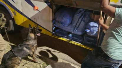 Perro de la Felcn descubre marihuana