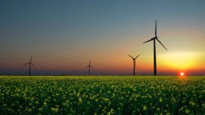 Transición energética en América Latina