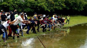 Liberación de caimanes del Orinoco por el Gobierno de Venezuela