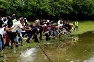 Liberación de caimanes del Orinoco por el Gobierno de Venezuela