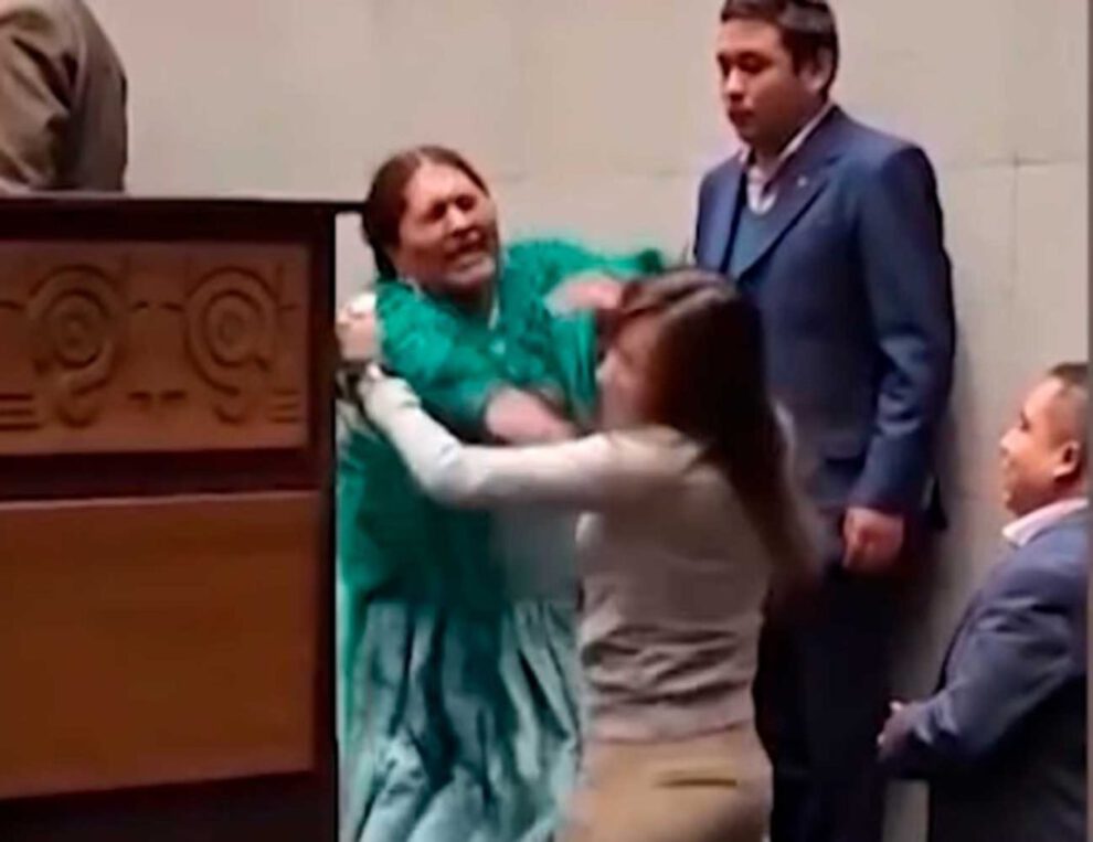 Agresión en sesión legislativa a la diputada Mayra Zalles