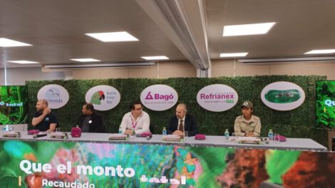 Preservación de la Paraba de Frente Roja en Bolivia