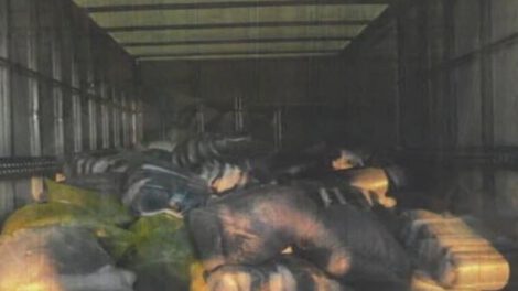 Narcotraficantes en aeropuerto Adolfo Suárez Madrid-Barajas