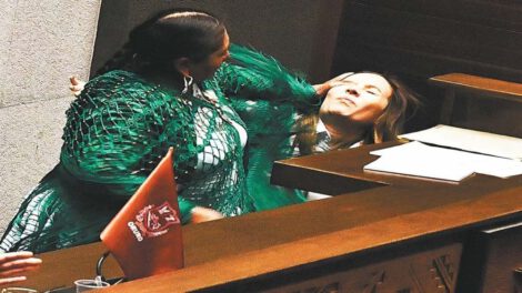 Agresión en sesión de diputados