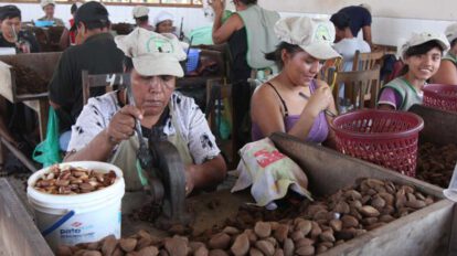 Exportaciones amazónicas en Bolivia