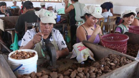 Exportaciones amazónicas en Bolivia