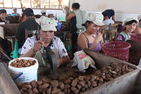 Exportaciones amazónicas en Bolivia