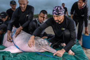 Fernando Trujillo, el explorador del Amazonas galardonado por National Geographic