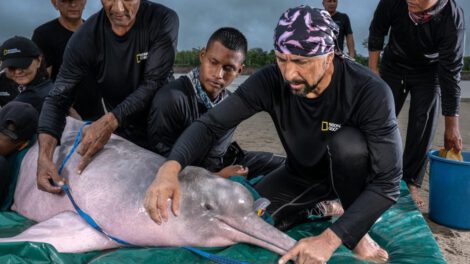 Fernando Trujillo, el explorador del Amazonas galardonado por National Geographic