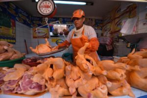 Producción de pollo en La Paz