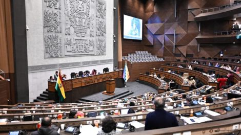 Crédito para carretera en Yapacaní aprobado por la Cámara de Diputados