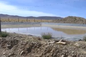 Sequía extrema en el altiplano paceño afecta a agricultores