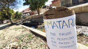 Tala ilegal en La Angostura