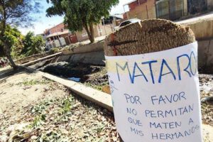 Tala ilegal en La Angostura