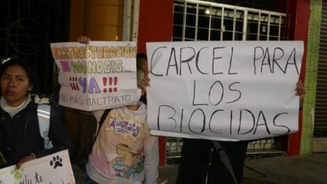 Maltrato animal y reestructuración de Zoonosis en Oruro