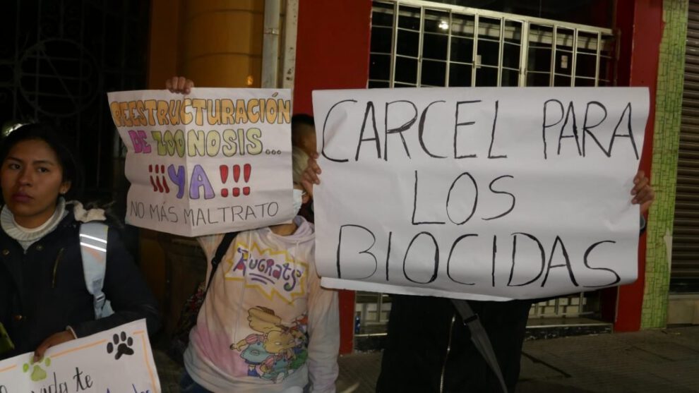 Maltrato animal y reestructuración de Zoonosis en Oruro