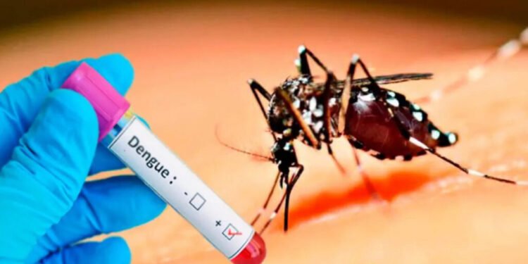 Vacuna contra el dengue no es suficiente, afirman autoridades del Mercosur