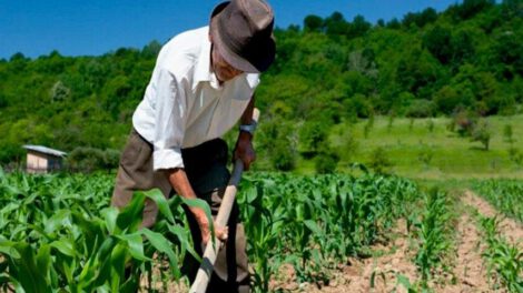 Sector agropecuario lidera los financiamientos de crédito del Banco de Desarrollo Productivo