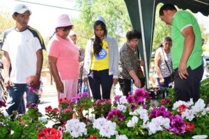 Floricultores en Cochabamba instan al diálogo y rechazan medidas extremas