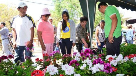 Floricultores en Cochabamba instan al diálogo y rechazan medidas extremas