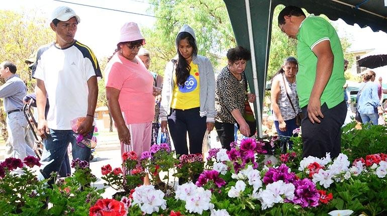 Floricultores en Cochabamba instan al diálogo y rechazan medidas extremas