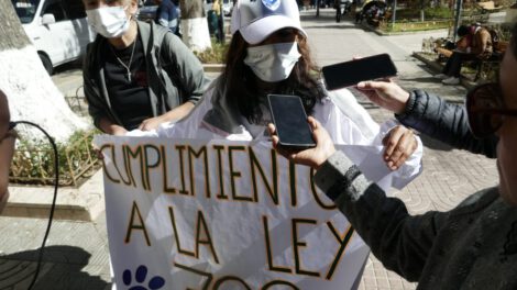 Voluntarios independientes piden la restructuración de Zoonosis