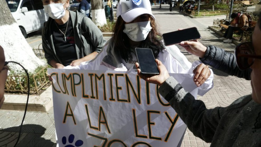 Voluntarios independientes piden la restructuración de Zoonosis