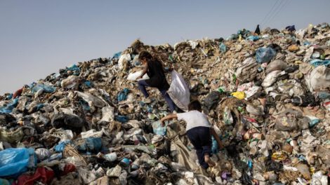 Crisis medioambiental en Gaza tras devastadora guerra