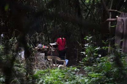 Avasallamiento en terrenos colindantes con el Jardín Botánico