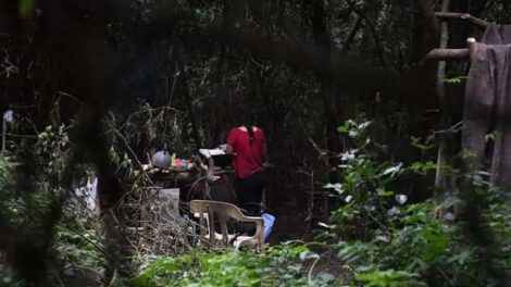 Avasallamiento en terrenos colindantes con el Jardín Botánico