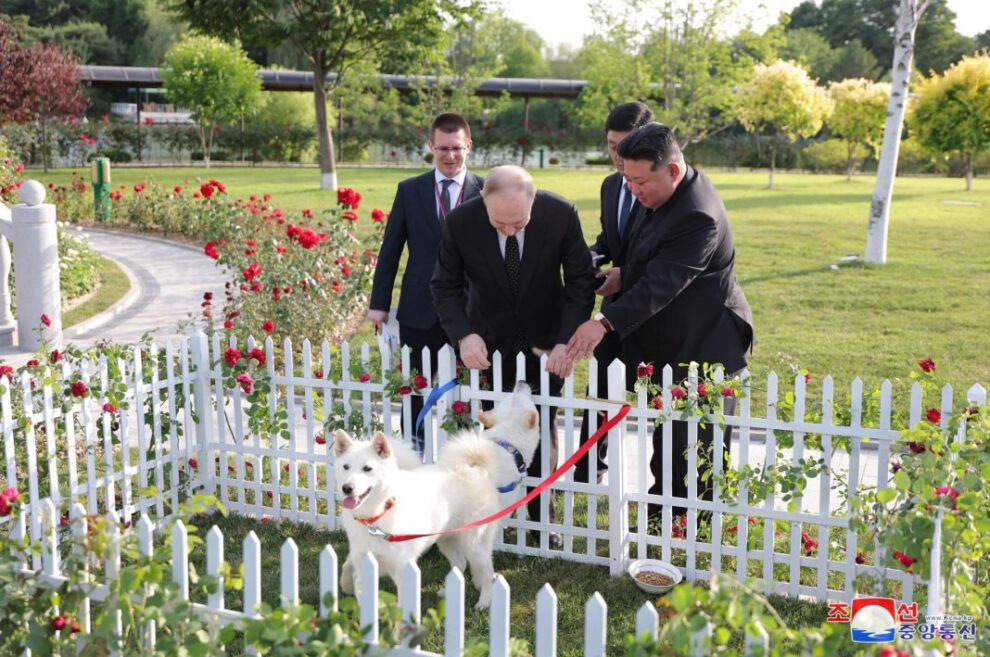 Kim Jong-un regala perros Pungsan a Vladimir Putin