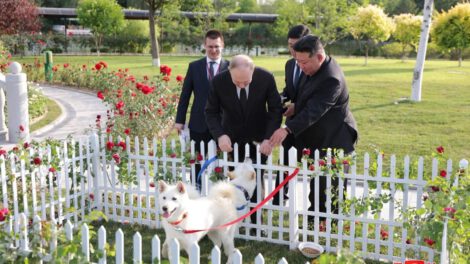 Kim Jong-un regala perros Pungsan a Vladimir Putin