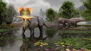 Descubrimiento de Lokiceratops, una nueva especie de dinosaurio herbívoro con cuernos gigantes
