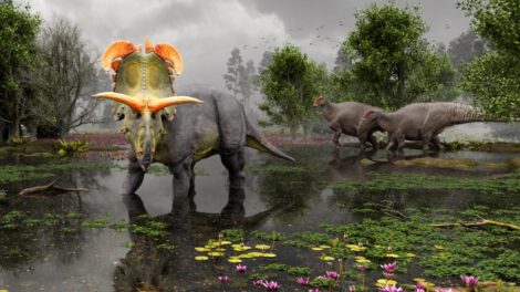Descubrimiento de Lokiceratops, una nueva especie de dinosaurio herbívoro con cuernos gigantes
