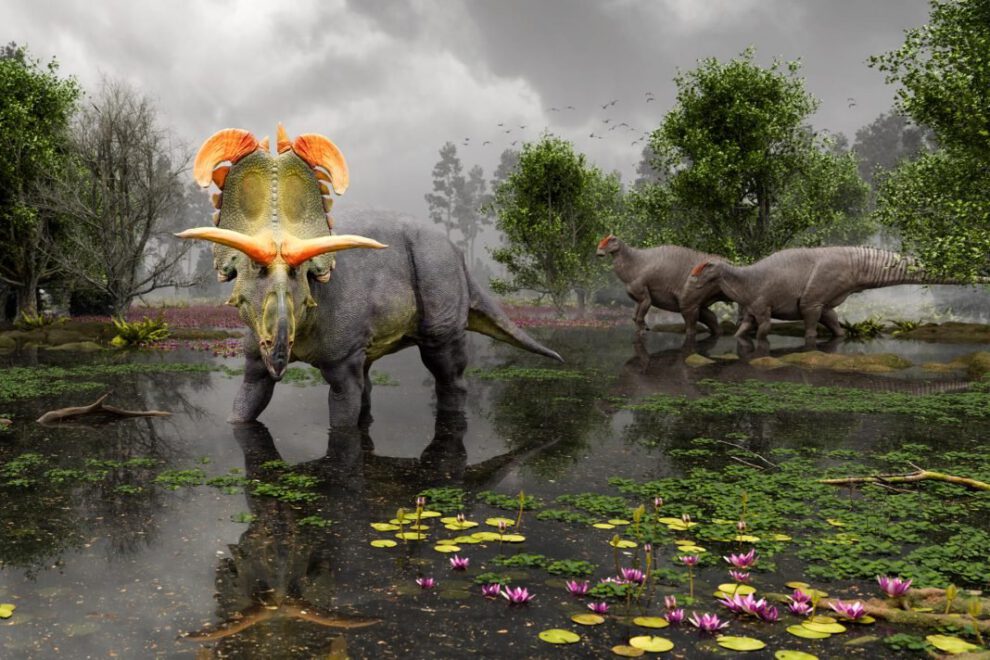 Descubrimiento de Lokiceratops, una nueva especie de dinosaurio herbívoro con cuernos gigantes