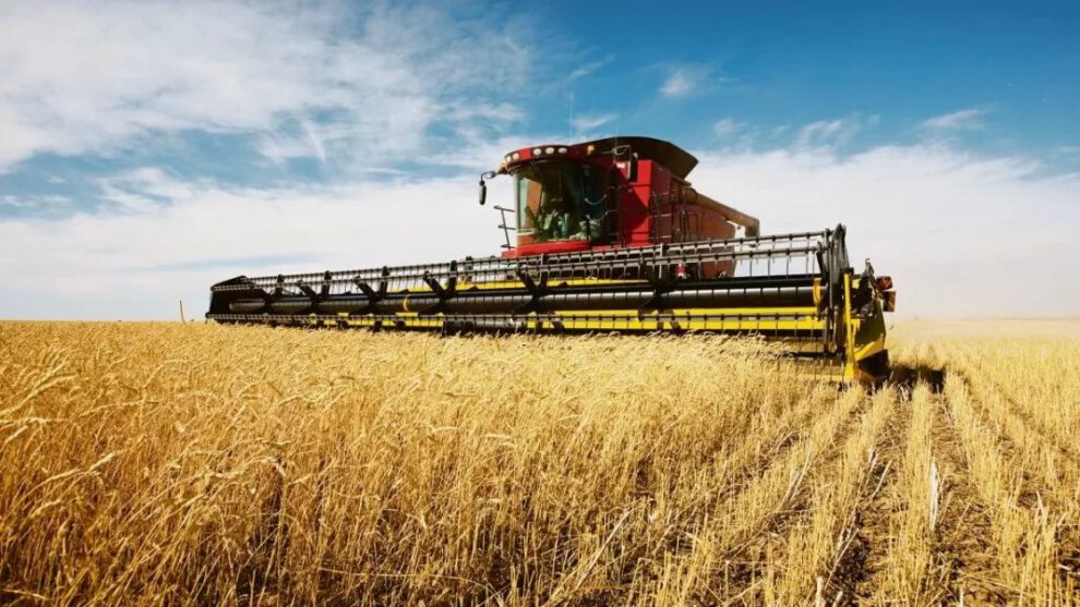 Crisis económica en Bolivia y el papel del agro