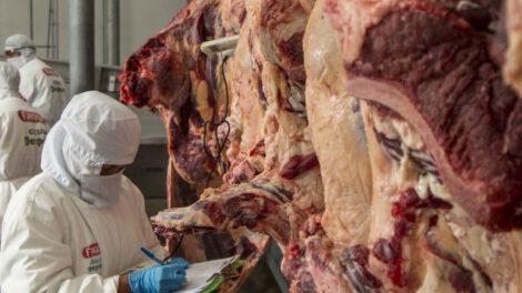 exportación de carne en Bolivia