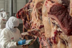exportación de carne en Bolivia