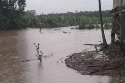 Crecida del río Sajta afecta cultivos en Puerto Villarroel